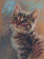 cica portré - cat portrait 